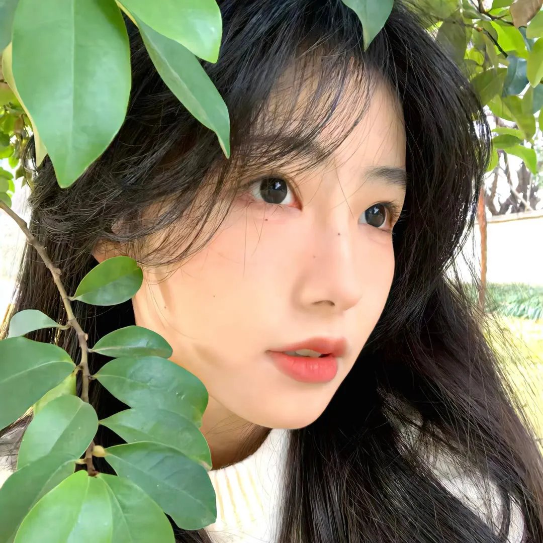月球叛军：火之女导剪版