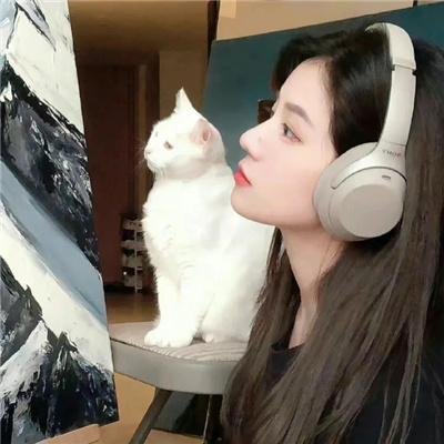 史酷比！鬼魅音乐