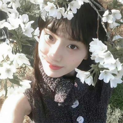 女神探夏洛克