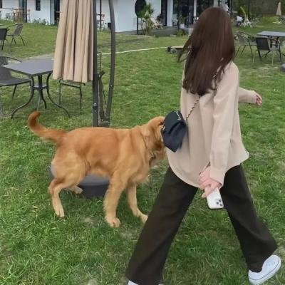 米奇的捕鼠器